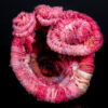 Obra Caracola - Imagen 3